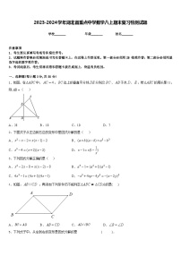 2023-2024学年湖北省重点中学数学八上期末复习检测试题含答案