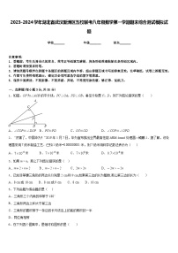 2023-2024学年湖北省武汉新洲区五校联考八年级数学第一学期期末综合测试模拟试题含答案