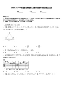 2023-2024学年湖南省衡阳市八上数学期末综合测试模拟试题含答案