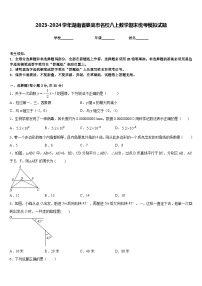 2023-2024学年湖南省娄底市名校八上数学期末统考模拟试题含答案