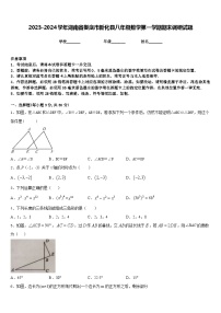 2023-2024学年湖南省娄底市新化县八年级数学第一学期期末调研试题含答案