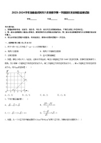 2023-2024学年湖南省武冈市八年级数学第一学期期末质量跟踪监视试题含答案