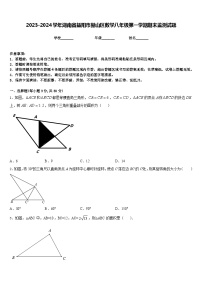 2023-2024学年湖南省益阳市赫山区数学八年级第一学期期末监测试题含答案