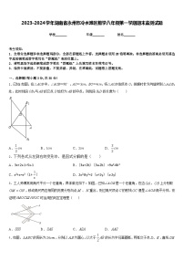 2023-2024学年湖南省永州市冷水滩区数学八年级第一学期期末监测试题含答案