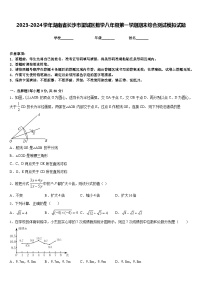 2023-2024学年湖南省长沙市望城区数学八年级第一学期期末综合测试模拟试题含答案