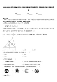 2023-2024学年湖南省长沙市长郡教育集团八年级数学第一学期期末质量检测模拟试题含答案