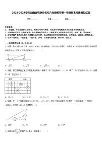 2023-2024学年湖南省株洲市名校八年级数学第一学期期末经典模拟试题含答案