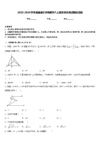 2023-2024学年湖南省长沙县数学八上期末综合测试模拟试题含答案