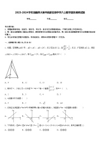 2023-2024学年湖南师大附中高新实验中学八上数学期末调研试题含答案