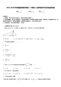 2023-2024学年湖南省岳阳市城区二十四校八上数学期末学业质量监测试题含答案