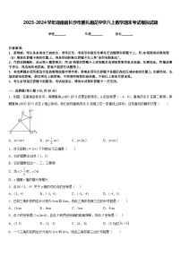 2023-2024学年湖南省长沙市雅礼雨花中学八上数学期末考试模拟试题含答案