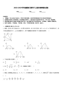 2023-2024学年福建厦门数学八上期末调研模拟试题含答案