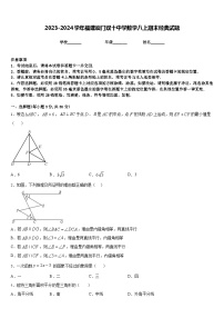 2023-2024学年福建厦门双十中学数学八上期末经典试题含答案