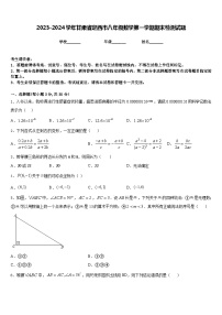 2023-2024学年甘肃省定西市八年级数学第一学期期末检测试题含答案