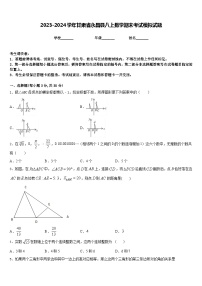 2023-2024学年甘肃省永昌县八上数学期末考试模拟试题含答案