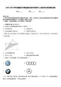 2023-2024学年湖南省长沙麓山国际实验学校数学八上期末综合测试模拟试题含答案