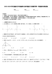 2023-2024学年湖南长沙市湖南师大附中集团八年级数学第一学期期末经典试题含答案