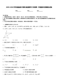 2023-2024学年湖南省长沙雅礼集团数学八年级第一学期期末经典模拟试题含答案