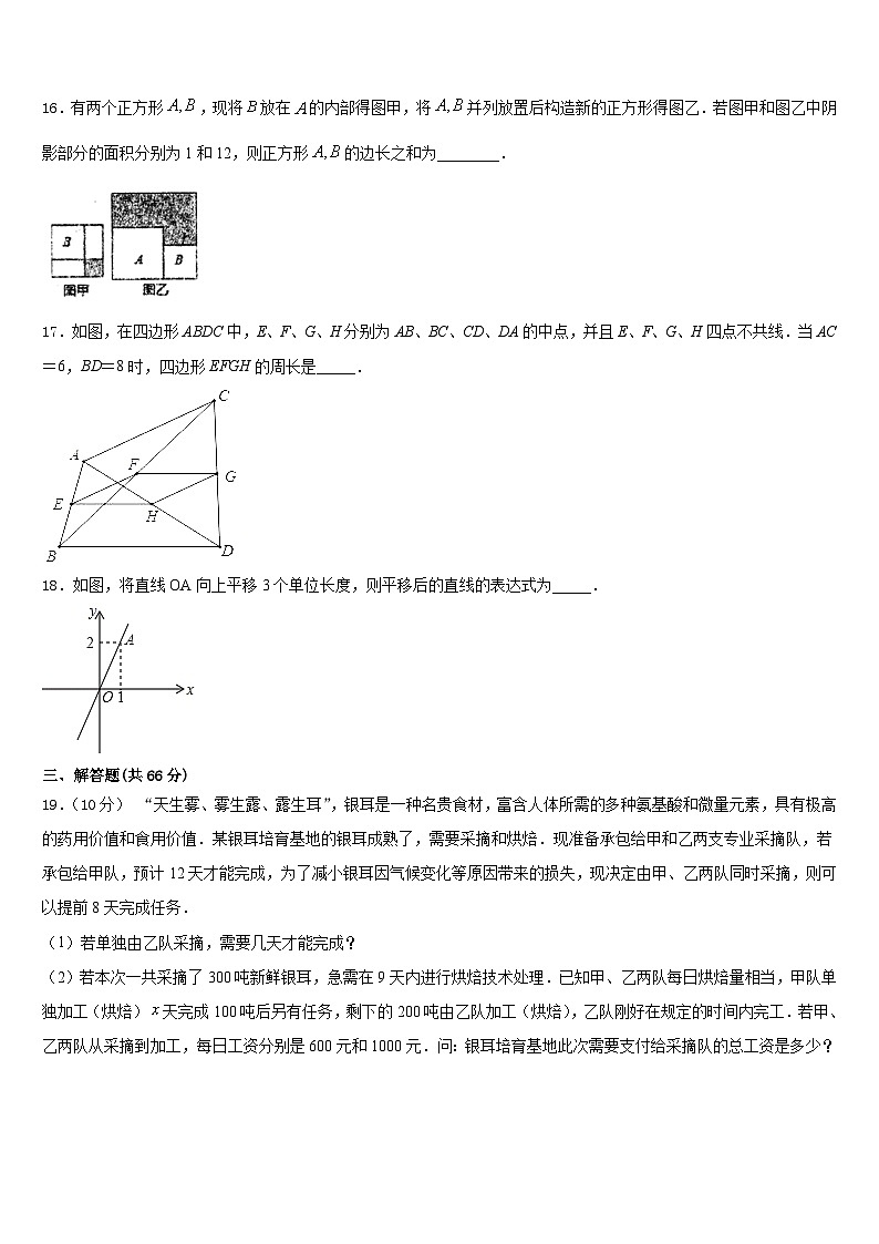 2023-2024学年珠海市重点中学数学八年级第一学期期末综合测试模拟试题含答案03