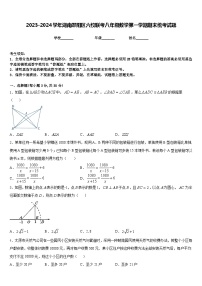 2023-2024学年湖南邵阳区六校联考八年级数学第一学期期末统考试题含答案