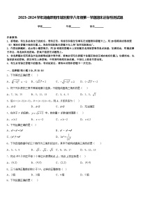 2023-2024学年湖南邵阳市城区数学八年级第一学期期末达标检测试题含答案