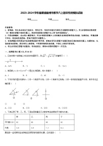 2023-2024学年福建省福州市数学八上期末检测模拟试题含答案