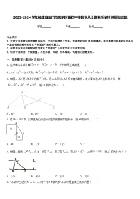 2023-2024学年福建省厦门市思明区莲花中学数学八上期末质量检测模拟试题含答案