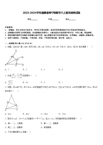 2023-2024学年福建省寿宁县数学八上期末调研试题含答案