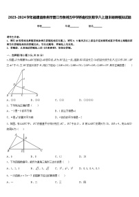 2023-2024学年福建省泉州市晋江市泉州五中学桥南校区数学八上期末调研模拟试题含答案