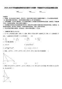 2023-2024学年福建省漳州市名校数学八年级第一学期期末学业质量监测模拟试题含答案