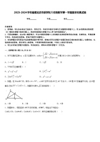 2023-2024学年福建龙岩市新罗区八年级数学第一学期期末经典试题含答案