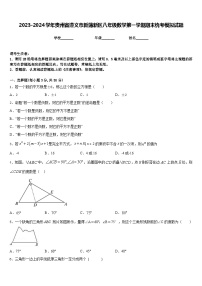 2023-2024学年贵州省遵义市新蒲新区八年级数学第一学期期末统考模拟试题含答案