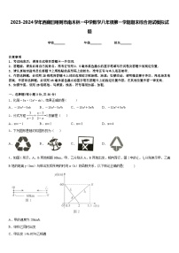 2023-2024学年西藏日喀则市南木林一中学数学八年级第一学期期末综合测试模拟试题含答案