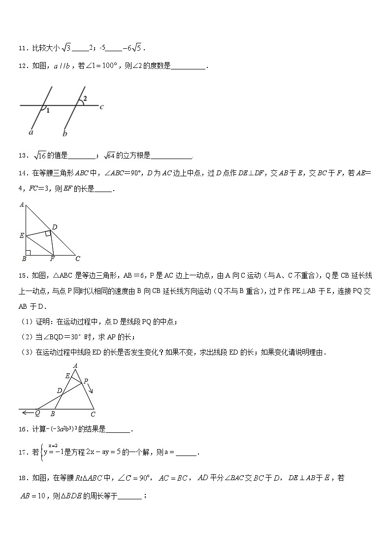 2023-2024学年郑州枫杨外国语中学数学八年级第一学期期末检测模拟试题含答案03