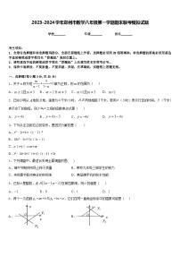 2023-2024学年郑州市数学八年级第一学期期末联考模拟试题含答案