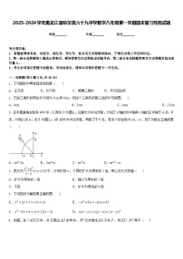 2023-2024学年黑龙江省哈尔滨六十九中学数学八年级第一学期期末复习检测试题含答案