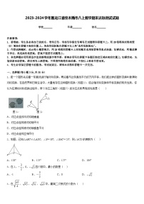 2023-2024学年黑龙江省佳木斯市八上数学期末达标测试试题含答案