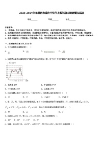 2023-2024学年黄冈市重点中学八上数学期末调研模拟试题含答案