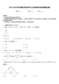 2023-2024学年马鞍山市重点中学八上数学期末达标检测模拟试题含答案