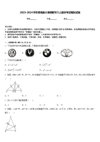 2023-2024学年青海省大通县数学八上期末考试模拟试题含答案