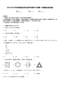 2023-2024学年陕西省宝鸡市北崖中学数学八年级第一学期期末监测试题含答案