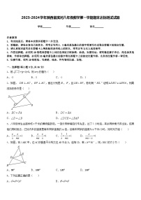 2023-2024学年陕西省滨河八年级数学第一学期期末达标测试试题含答案