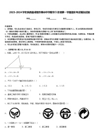 2023-2024学年陕西省咸阳市秦岭中学数学八年级第一学期期末考试模拟试题含答案