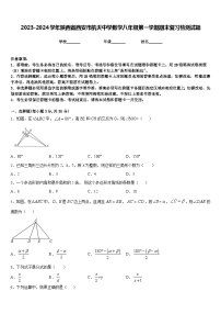 2023-2024学年陕西省西安市航天中学数学八年级第一学期期末复习检测试题含答案