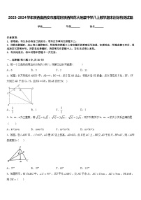 2023-2024学年陕西省西安市雁塔区陕西师范大附属中学八上数学期末达标检测试题含答案