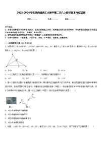 2023-2024学年陕西省西工大附中第二次八上数学期末考试试题含答案