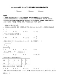 2023-2024学年长沙市八上数学期末质量跟踪监视模拟试题含答案