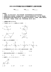 2023-2024学年黑龙江省大庆市肇源数学八上期末考试试题含答案