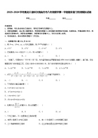 2023-2024学年黑龙江省哈尔滨尚志市八年级数学第一学期期末复习检测模拟试题含答案