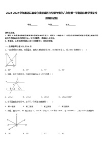 2023-2024学年黑龙江省哈尔滨双城区六校联考数学八年级第一学期期末教学质量检测模拟试题含答案